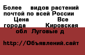 Более200 видов растений почтой по всей России › Цена ­ 100-500 - Все города  »    . Кировская обл.,Луговые д.